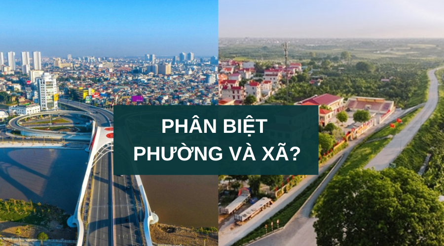 Phân biệt phường và xã – Những điểm khác biệt bạn cần biết